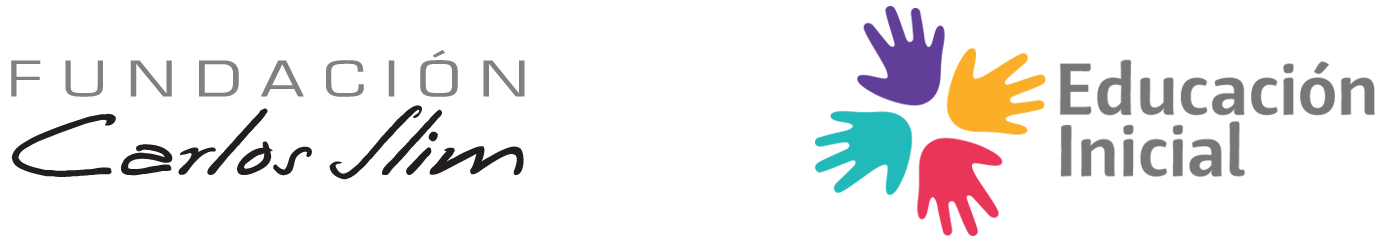 Fundación Carlos Slim